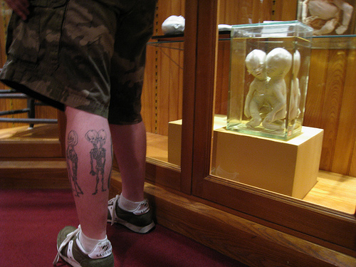 Making friends at the M tter Museum this guy's tattoos were based on an